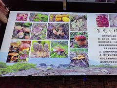 -野菌皇海景野生菌火锅(滨海大道店)