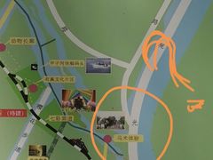 -合肥滨湖国家森林公园