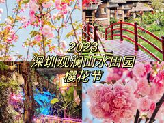 -观澜山水田园