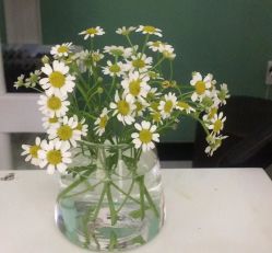 -纤纤玉手美甲美睫美容