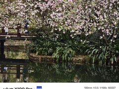 -棠湖公园