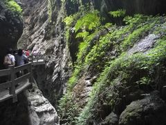 -武隆天坑地缝国家地质公园