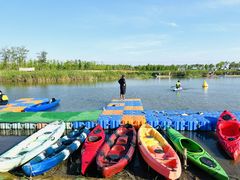 -春花秋色城市公园