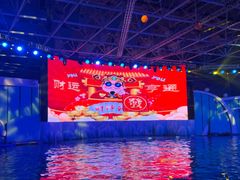 -海合安青岛极地海洋公园