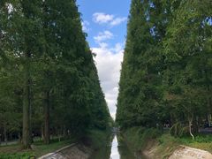 -东平国家森林公园
