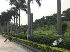 -五通灯塔公园