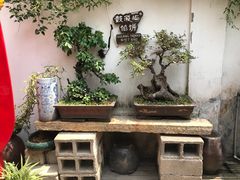 -鼓浪屿牌馅饼(博物馆店)