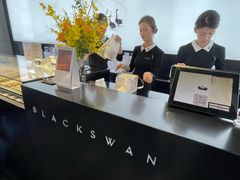 -BLACKSWAN黑天鹅(环球店)