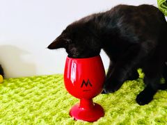 -M Stand(搜狐网络大厦店)