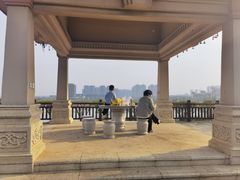 -九龙湖公园
