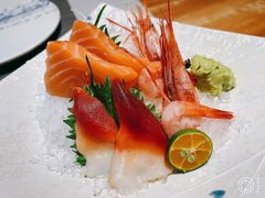 -森味薪火烧•烧鸟居酒屋•日本料理(望京店)
