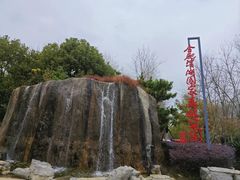 -合肥滨湖国家森林公园