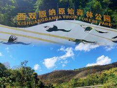 -西双版纳原始森林公园