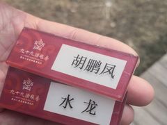 -九十九顶毡房(阜石路店)