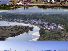 -春花秋色城市公园