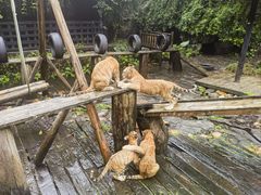 -广州长隆野生动物世界