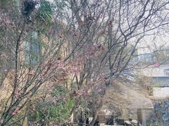 -聚缘堂·海鲜私房菜(松岭路店)