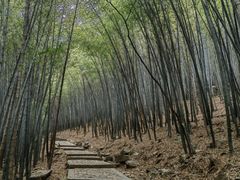 -穹窿山景区