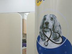 -佩兹宠物医院肿瘤专科·眼科·牙科(黄浦店)
