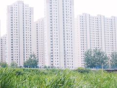 -前关湿地公园