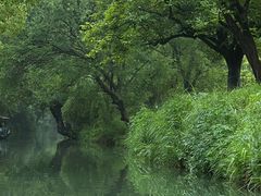 -西溪国家湿地公园