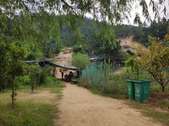 -白马涧龙池景区