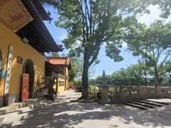 -亭林园-华藏寺