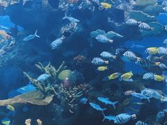 -多彩贵州城极地海洋世界