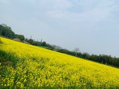 -良渚古城遗址公园