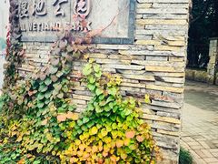 -重庆彩云湖湿地公园