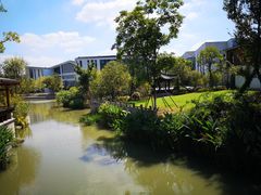 -湘湖金融镇