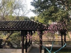 -巡塘古镇