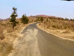 -红山国家森林公园