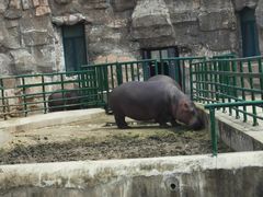 -哈尔滨北方森林动物园