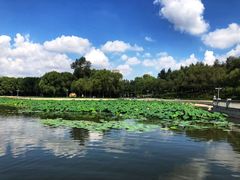 -长春世界雕塑园冰雪艺术天地