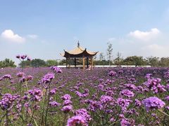 -杭州城北体育公园