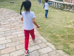 -金山农民画村-枫泾波兰倒置屋