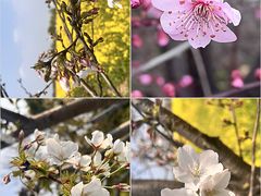 -花溪风景区