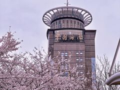 -东方明珠广播电视塔