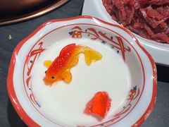 -南门四季铜锅涮肉(东坝店)