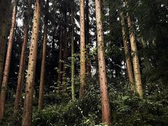 -瓦屋山景区