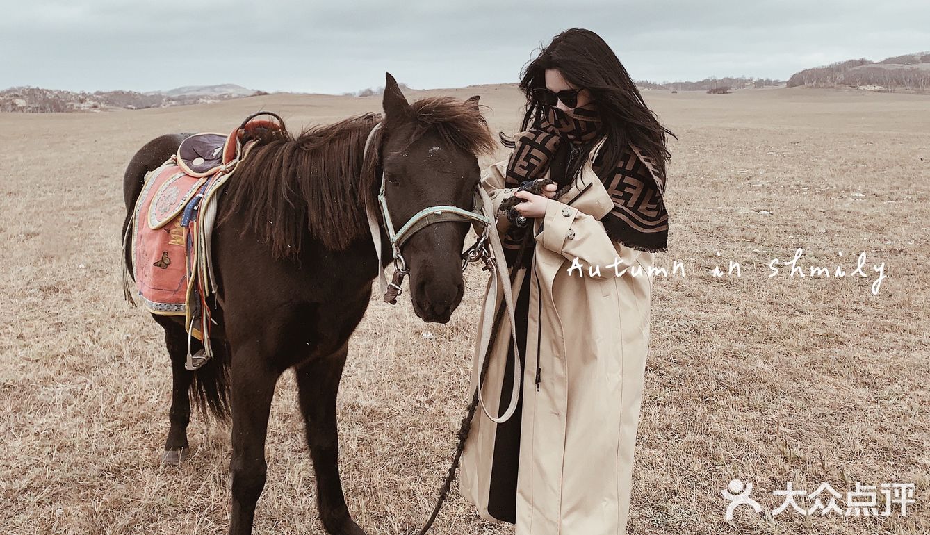 自驾内蒙乌兰布统 只有感悟的旅行🧳