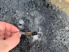 -红树林天天赶海