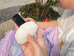 -澳门长洲糯米糍(柯打苏沙街店)