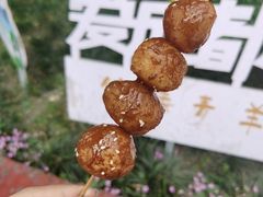 糖油果子-邓记新一代糖油果子(四川煤管局供销公司职工宿舍店)