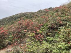 -广东天露山旅游度假区