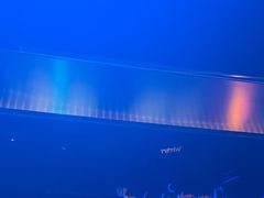 -温莎KTV(珠江路店)