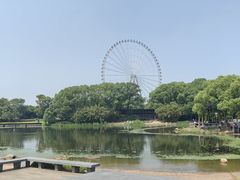 -蠡湖大桥公园