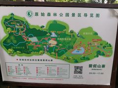 -西双版纳原始森林公园
