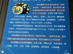 -贝壳王国博物馆